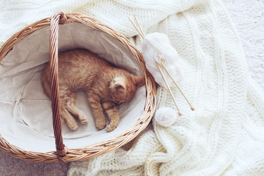 Similar image 8453135