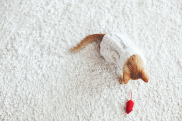 Similar image 8453137