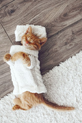 Similar image 8453141