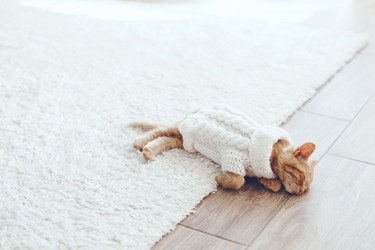 Similar image 8453145