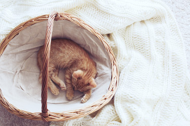 Similar image 8453146