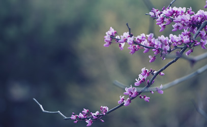 Similar image 8453164