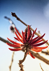 Similar image 8453165