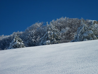 Similar image 8453173