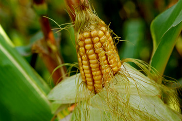 Similar image 8453266