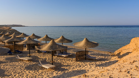 Similar image 8453271