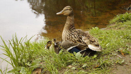 Similar image 8453278