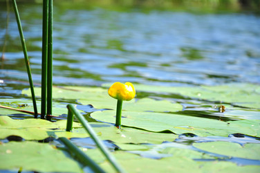 Similar image 8453296