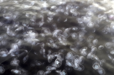 Similar image 8453317