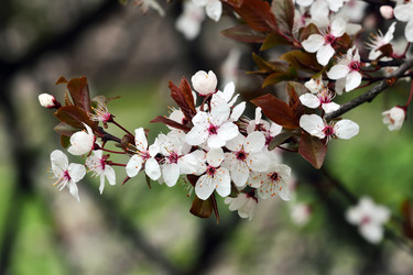 Similar image 8453351