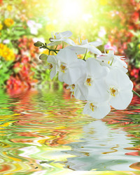 Similar image 8453360