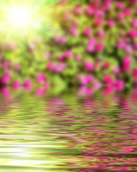 Similar image 8453361