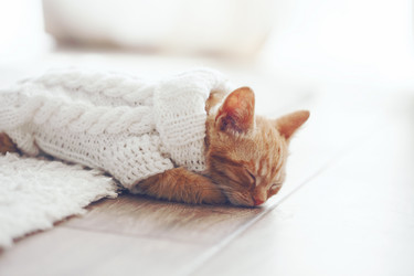 Similar image 8453397