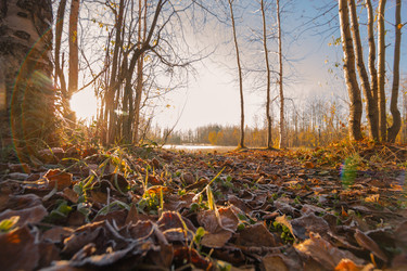 Similar image 8453442