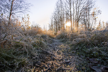 Similar image 8453446