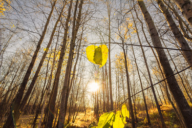 Similar image 8453451