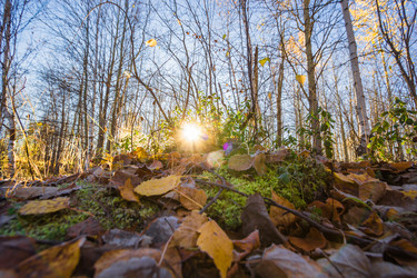 Similar image 8453452