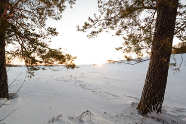 Similar image 8453461