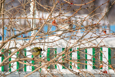 Similar image 8453470