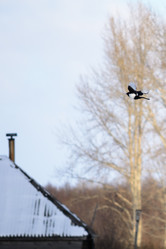 Similar image 8453472