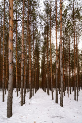 Similar image 8453476