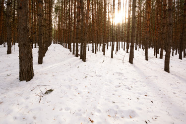 Similar image 8453478