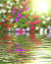 Similar image 8453545