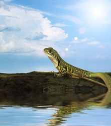 Similar image 8453546