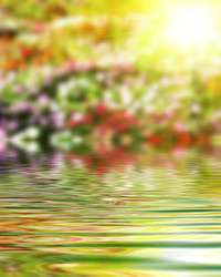 Similar image 8453548