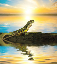 Similar image 8453550