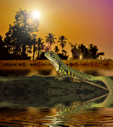 Similar image 8453553