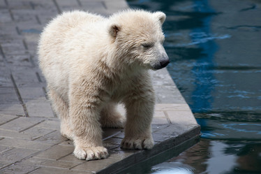 Similar image 8453559