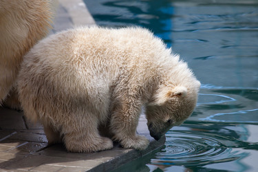 Similar image 8453568