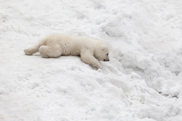 Similar image 8453574