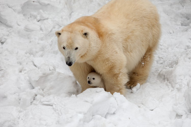 Similar image 8453575