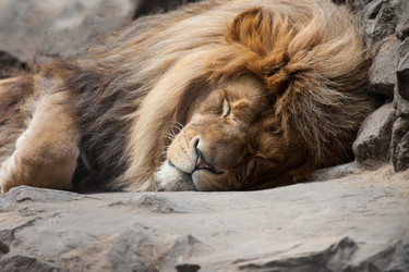 Similar image 8453576