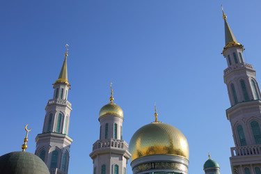 Similar image 8453585