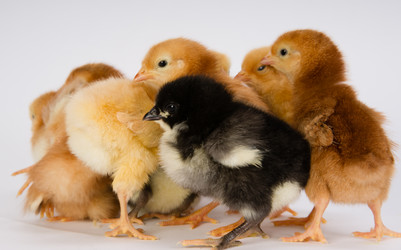 Similar image 8453609