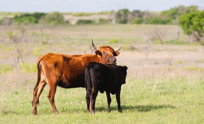 Similar image 8453615