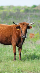 Similar image 8453617