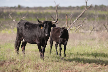 Similar image 8453619