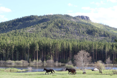 Similar image 8453620