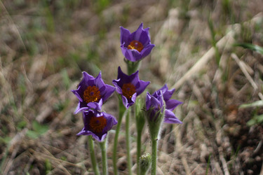 Similar image 8453621