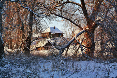 Similar image 8453624