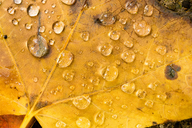 Similar image 8453625