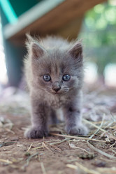 Similar image 8453629