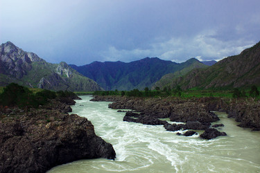 Similar image 8453631