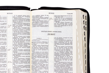 Similar image 8453639