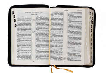 Similar image 8453641