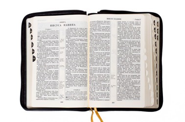 Similar image 8453643